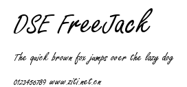 DSE FreeJack.ttf字體轉換器圖片