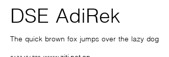 DSE AdiRek.ttf字體轉換器圖片