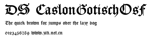 DS CaslonGotischOsF.ttf字體轉換器圖片
