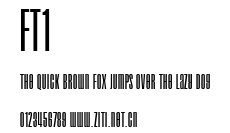 ft1.ttf