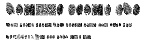 finger print tfb.ttf字體轉換器圖片