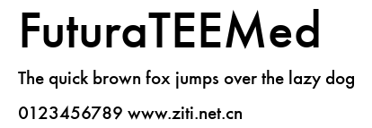 FuturaTEEMed.ttf字體轉換器圖片