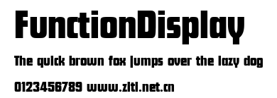 FunctionDisplay.ttf字體轉換器圖片