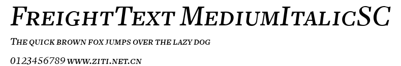 FreightText MediumItalicSC.ttf字體轉換器圖片