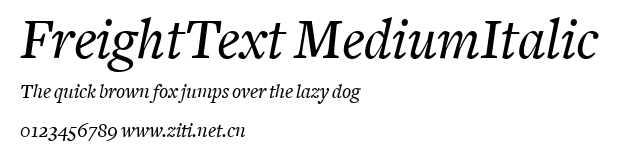 FreightText MediumItalic.ttf字體轉換器圖片