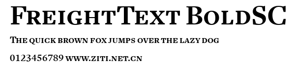 FreightText BoldSC.ttf字體轉換器圖片