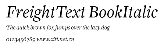 FreightText BookItalic.ttf字體轉換器圖片