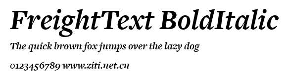 FreightText BoldItalic.ttf字體轉換器圖片