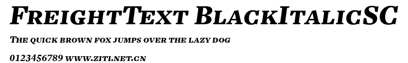 FreightText BlackItalicSC.ttf字體轉換器圖片
