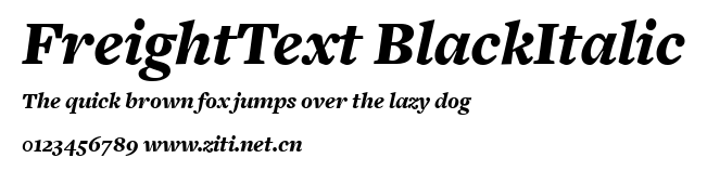 FreightText BlackItalic.ttf字體轉換器圖片