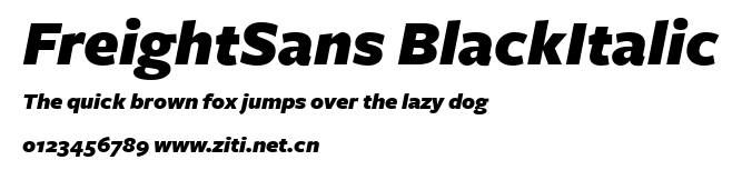 FreightSans BlackItalic.ttf字體轉換器圖片