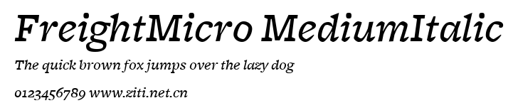 FreightMicro MediumItalic.ttf字體轉換器圖片