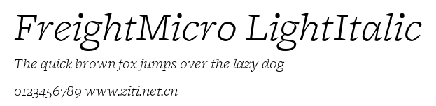FreightMicro LightItalic.ttf字體轉換器圖片