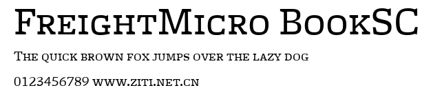 FreightMicro BookSC.ttf字體轉換器圖片