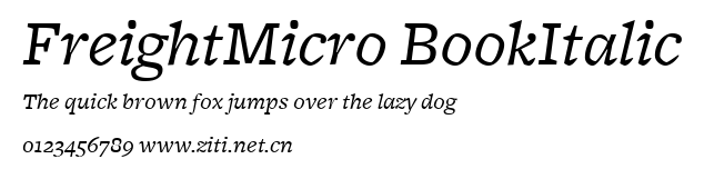 FreightMicro BookItalic.ttf字體轉換器圖片