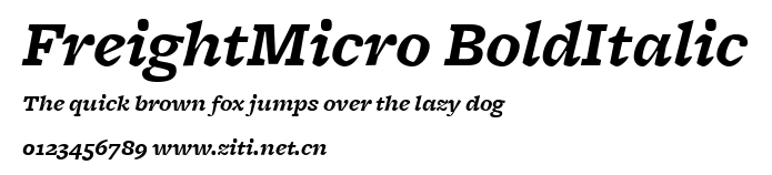 FreightMicro BoldItalic.ttf字體轉換器圖片