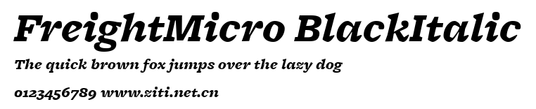 FreightMicro BlackItalic.ttf字體轉換器圖片