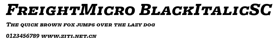 FreightMicro BlackItalicSC.ttf字體轉換器圖片