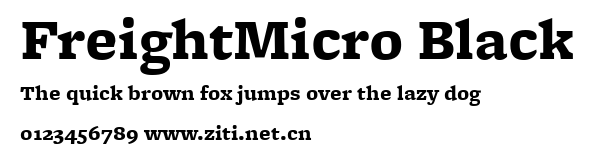 FreightMicro Black.ttf字體轉換器圖片