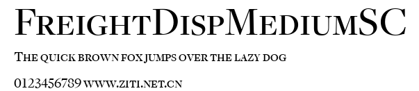 FreightDispMediumSC.ttf字體轉換器圖片