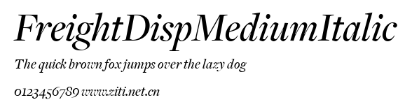 FreightDispMediumItalic.ttf字體轉換器圖片