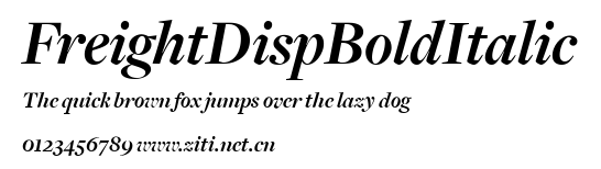 FreightDispBoldItalic.ttf字體轉換器圖片