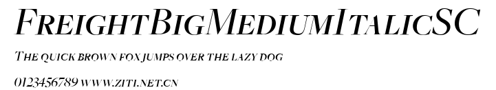 FreightBigMediumItalicSC.ttf字體轉換器圖片