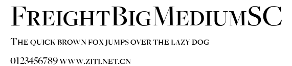 FreightBigMediumSC.ttf字體轉換器圖片