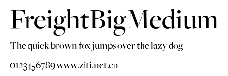 FreightBigMedium.ttf字體轉換器圖片