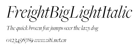 FreightBigLightItalic.ttf字體轉換器圖片