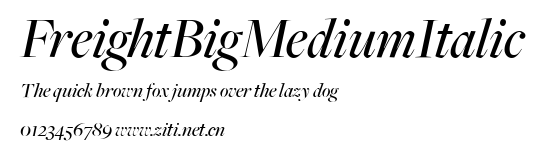 FreightBigMediumItalic.ttf字體轉換器圖片