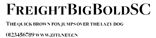 FreightBigBoldSC.ttf字體轉換器圖片