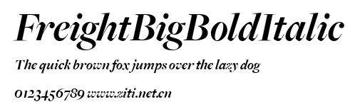 FreightBigBoldItalic.ttf字體轉換器圖片