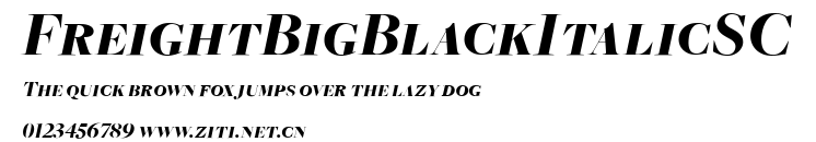 FreightBigBlackItalicSC.ttf字體轉換器圖片