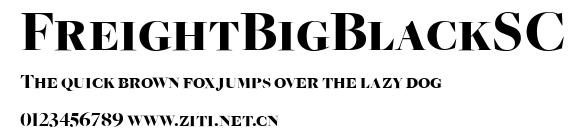 FreightBigBlackSC.ttf字體轉換器圖片