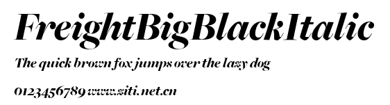 FreightBigBlackItalic.ttf字體轉換器圖片