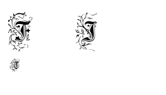 Foliar Initials.ttf字體轉換器圖片