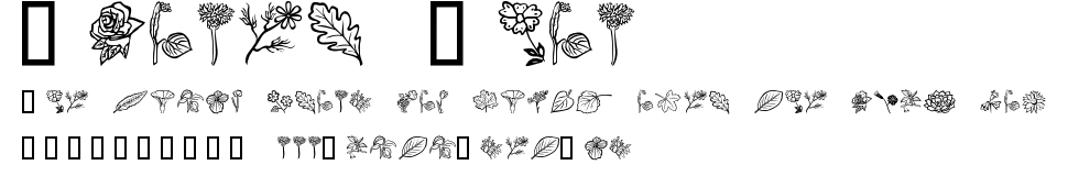 Flower Show.ttf字體轉換器圖片