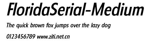 FloridaSerial-Medium.ttf字體轉換器圖片
