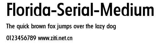Florida-Serial-Medium.ttf字體轉換器圖片