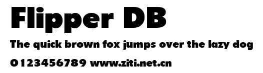 Flipper DB.ttf字體轉換器圖片