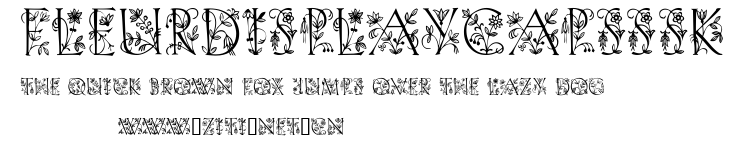 FleurDisplayCapsSSK.ttf