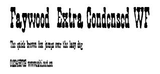 Faywood Extra Condensed WF.ttf字體轉換器圖片