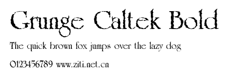 Grunge Caltek Bold.ttf字體轉換器圖片