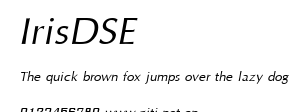 IrisDSE.ttf字體轉換器圖片