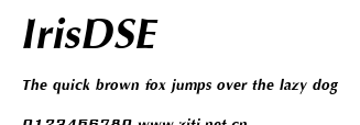 IrisDSE.ttf字體轉換器圖片