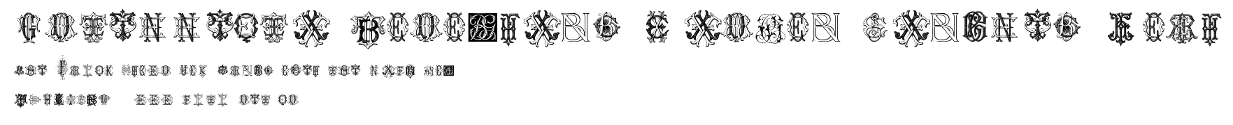 Intellecta Monograms Random Samples Four.ttf字體轉換器圖片