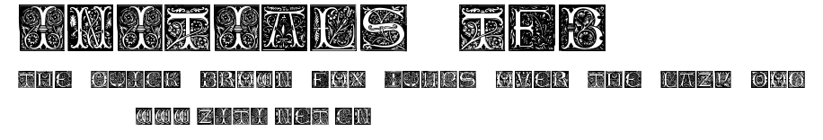 Initials TFB.ttf字體轉換器圖片
