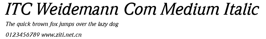 ITC Weidemann Com Medium Italic.ttf字體轉換器圖片