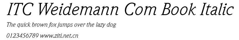 ITC Weidemann Com Book Italic.ttf字體轉換器圖片